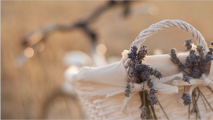 DEVOCIONAL: AME OS SEUS&nbsp;INIMIGOS!