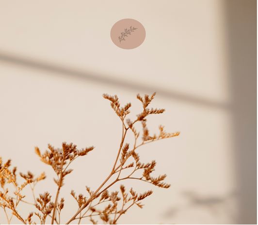 {SÉRIE} OS ATRIBUTOS DE DEUS – OS DECRETOS DE&nbsp;DEUS