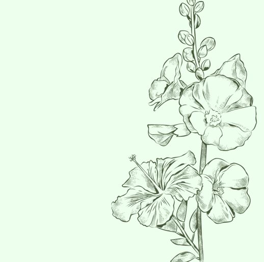 {SÉRIE}A PRESCIÊNCIA DE&nbsp;DEUS