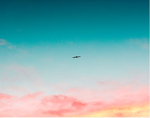 A PESSOA DE CRISTO: SUA&nbsp;DIVINDADE