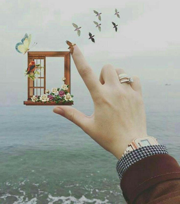 SALVOS PARA A GLÓRIA DE&nbsp;DEUS