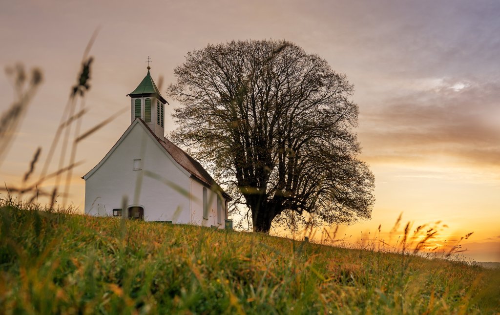 A GLÓRIA DE CRISTO NA SUA UNIÃO COM A&nbsp;IGREJA